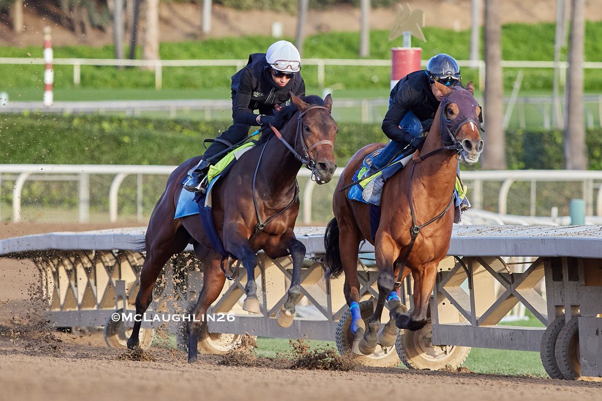 kimo16's tweet photo. Nice looking 6F in 1:12.40 yesterday for Plutarch under Juan Hernandez working inside of Winston Ave with Abdul Alsagoor up for HoF trainer Bob Baffert @santaanitapark @spendthriftfarm @BobBaffert @JJHernandezS19 @QusoorAl https://t.co/4mJCLsykqw