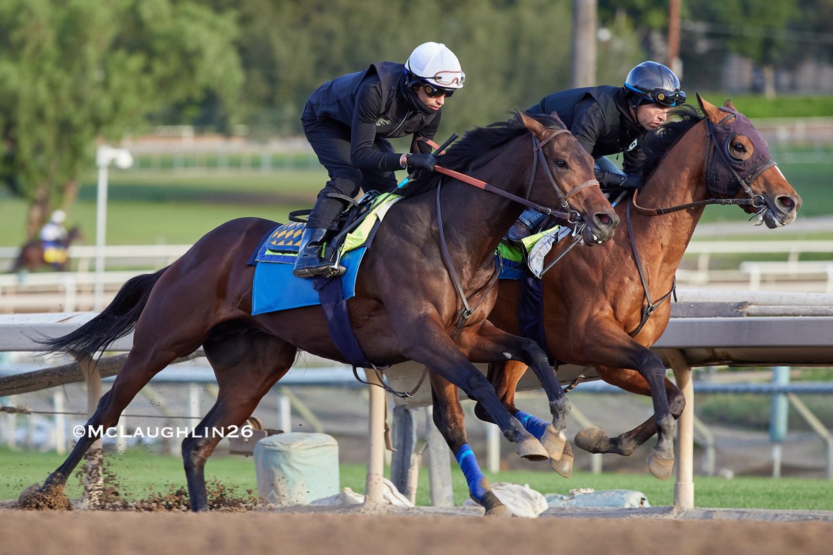 kimo16's tweet photo. Nice looking 6F in 1:12.40 yesterday for Plutarch under Juan Hernandez working inside of Winston Ave with Abdul Alsagoor up for HoF trainer Bob Baffert @santaanitapark @spendthriftfarm @BobBaffert @JJHernandezS19 @QusoorAl https://t.co/4mJCLsykqw