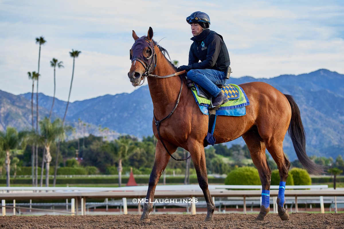 kimo16's tweet photo. Nice looking 6F in 1:12.40 yesterday for Plutarch under Juan Hernandez working inside of Winston Ave with Abdul Alsagoor up for HoF trainer Bob Baffert @santaanitapark @spendthriftfarm @BobBaffert @JJHernandezS19 @QusoorAl https://t.co/4mJCLsykqw