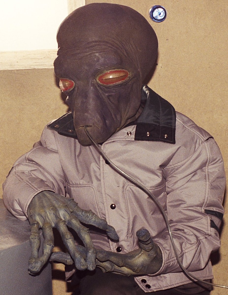 Coobalt 🟢| TivikWatch tweet media