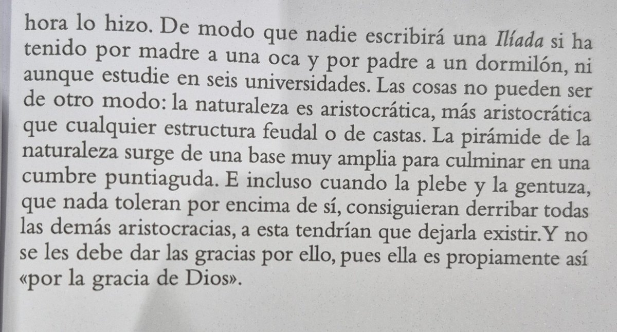 Don Ignacio (@caballeronacho7) on Twitter photo 