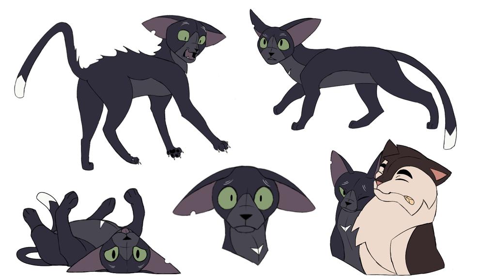 BumbleBird tweet media