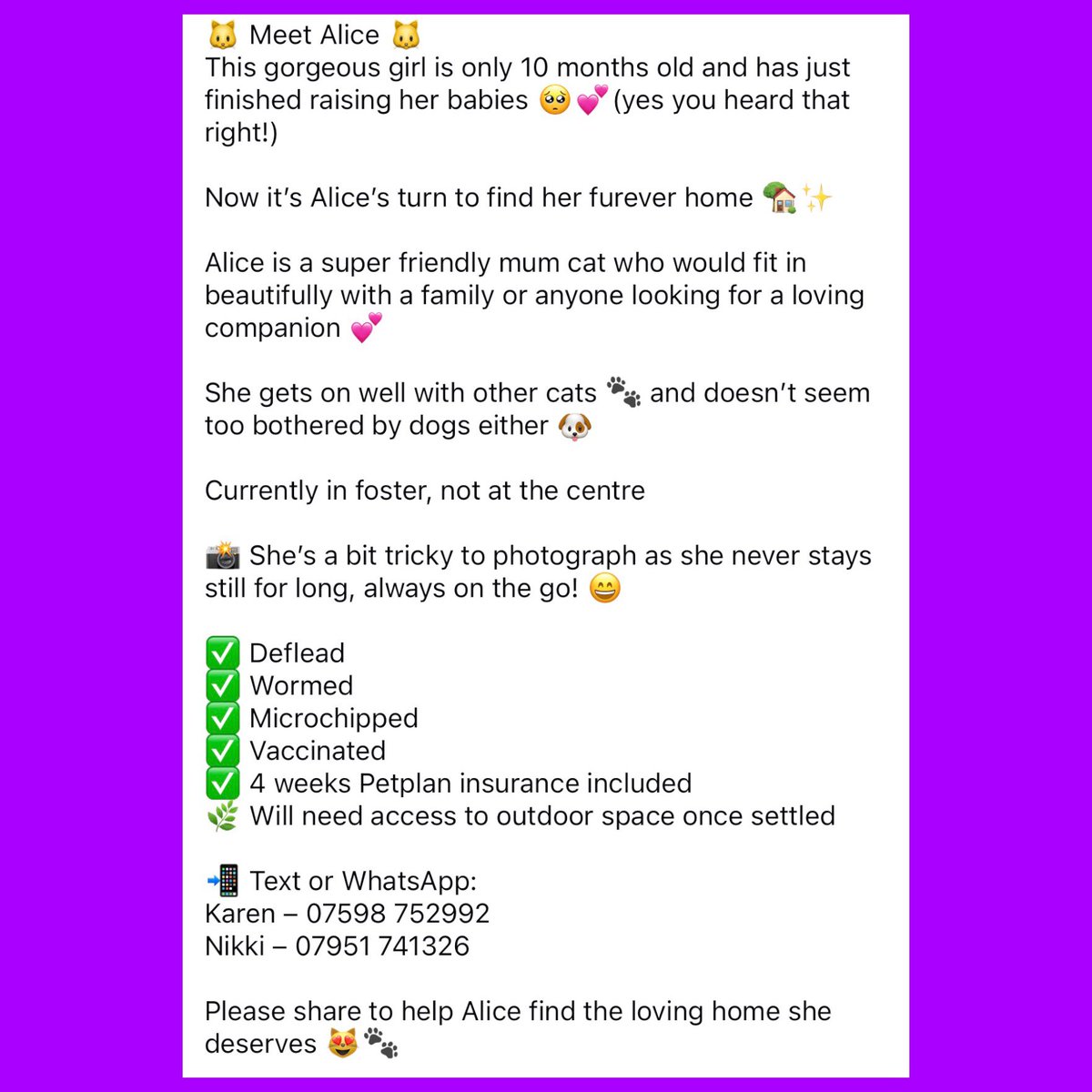 New Start Cat Rescue🐾💜🐾 tweet media