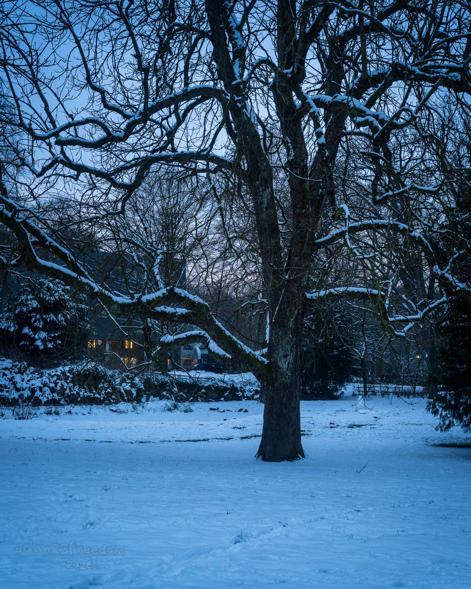 Dan 23 Freedom tweet media