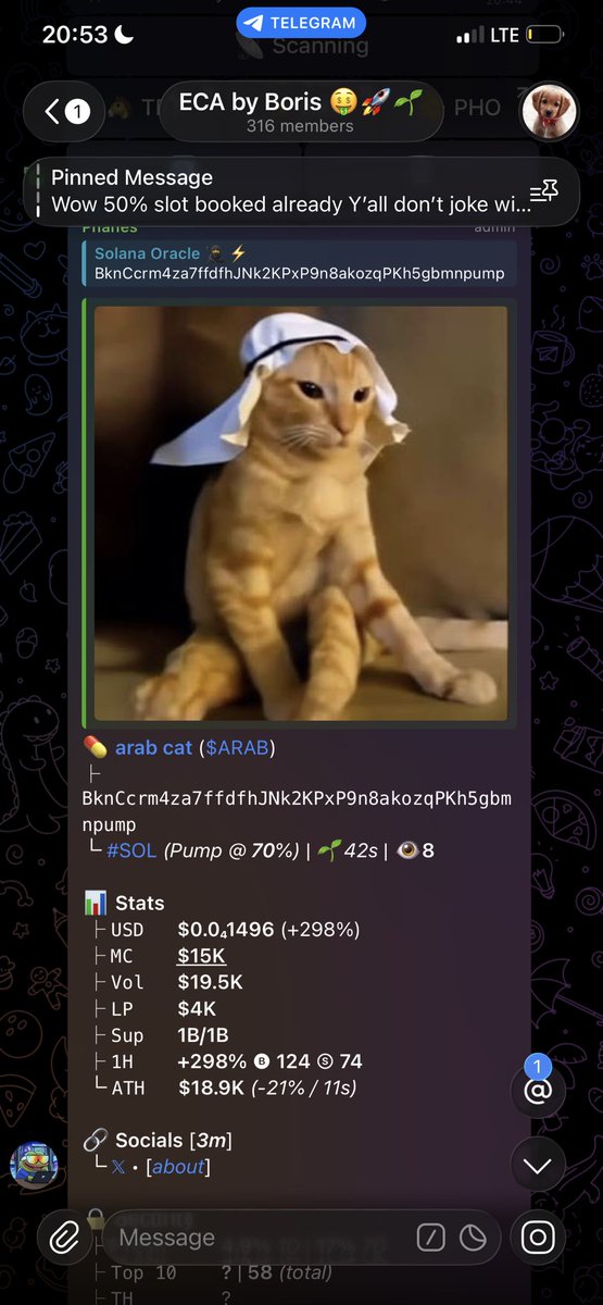 SolanaOracle0's tweet image. watch your entry on $ARAB 

Note:BUY NOW 

ca: BknCcrm4za7ffdfhJNk2KPxP9n8akozqPKh5gbmnpump