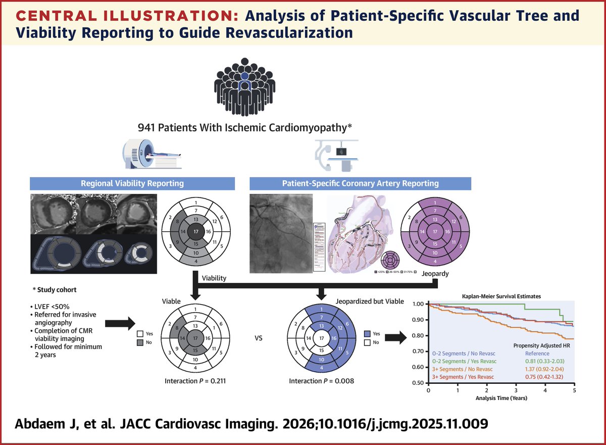 ACCinTouch's tweet photo. Patient-specific registration of segmental jeopardy and viability is a feasible strategy to identify patients with ischemic cardiomyopathy who benefit from early #revasc, according to a recent study published in #JACCIMG.

Get more details ➡️ https://t.co/pdbuiHuAPf @JACCJournals https://t.co/vkEGhVNju7