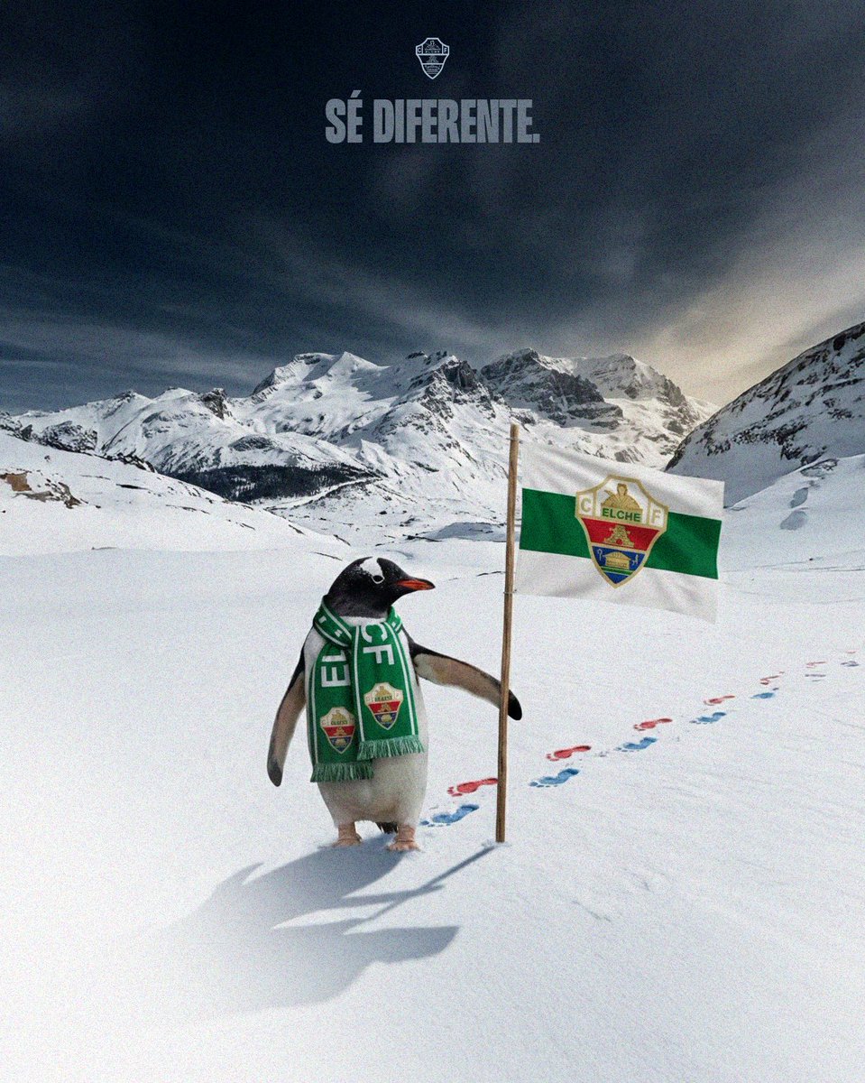 Elche Club de Fútbol tweet media