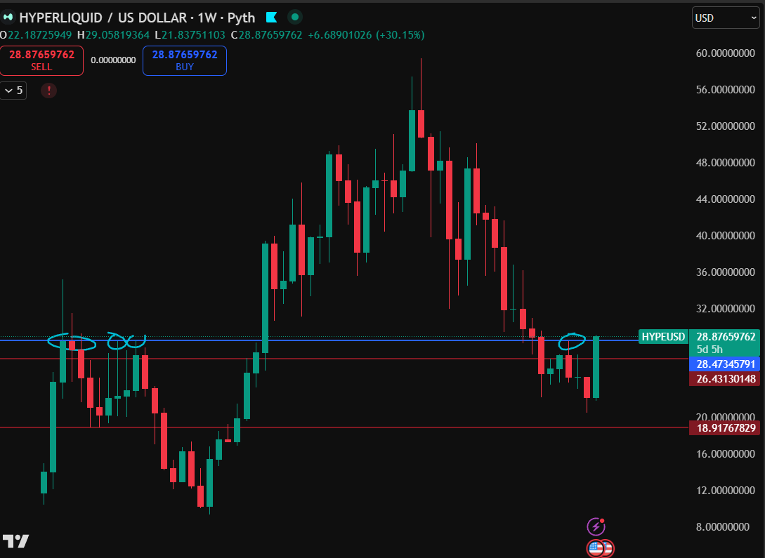 EllioTrades tweet media