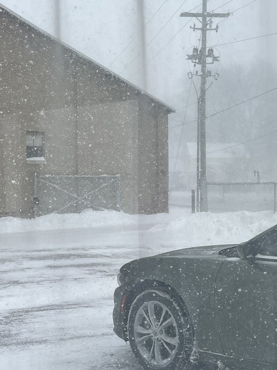 Cookie Roof 🍪 tweet media