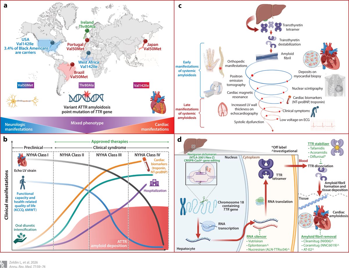 Yevgeniy Brailovsky DO MSc FACC tweet media