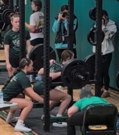 Madison Franke tweet media