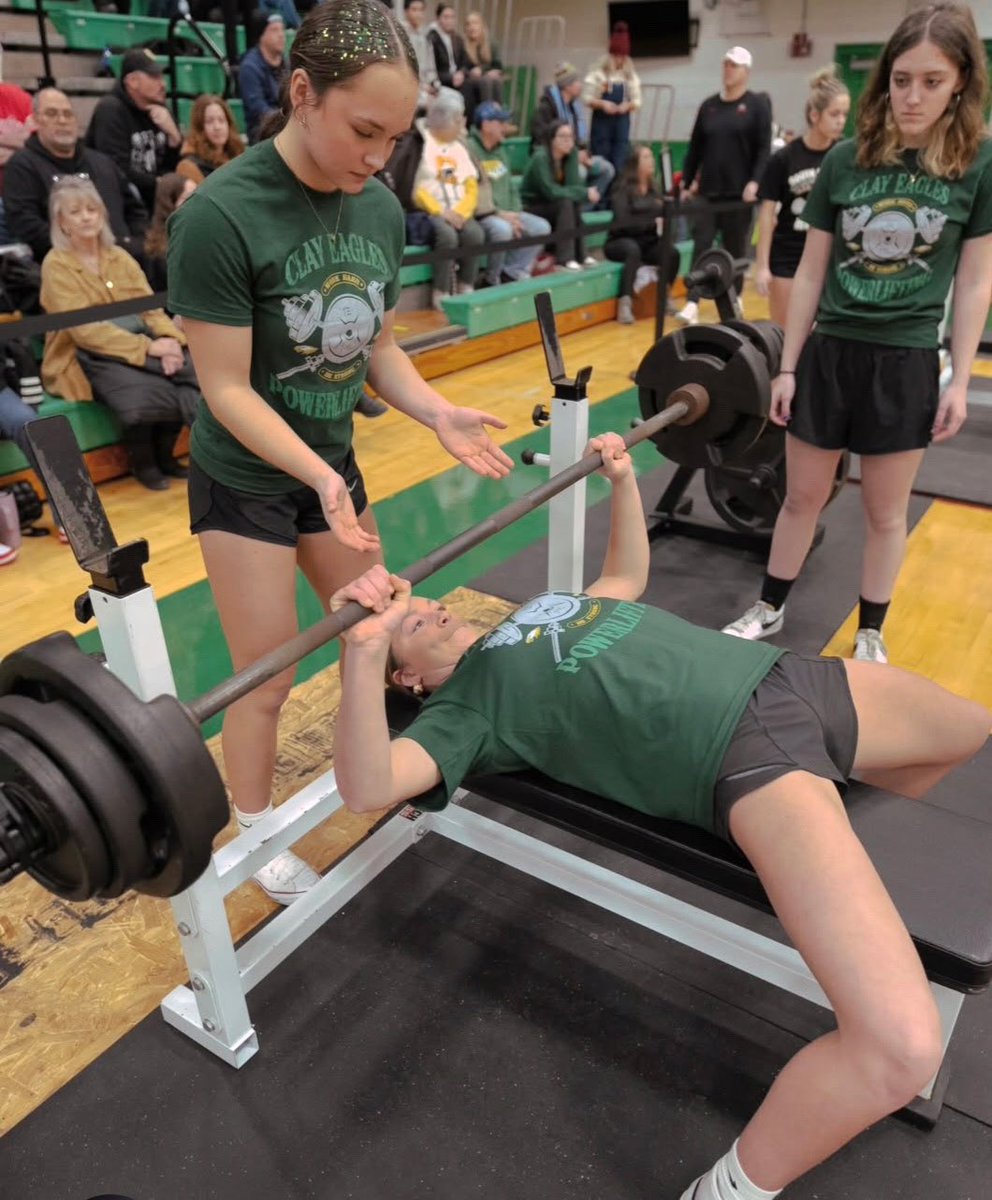 Madison Franke tweet media