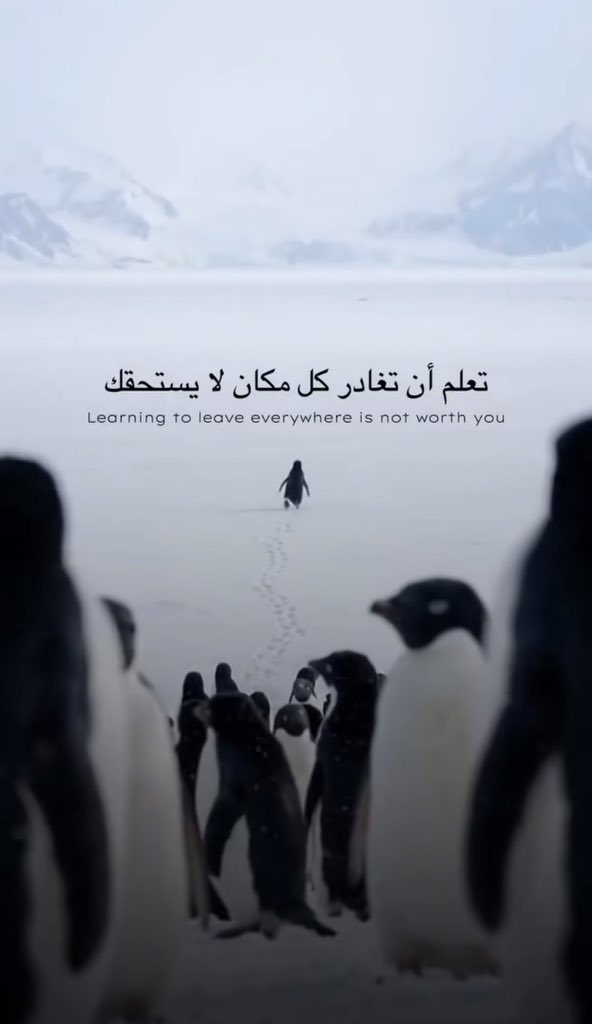 Alsalmani 🐆 (@alsalmani10) on Twitter photo 