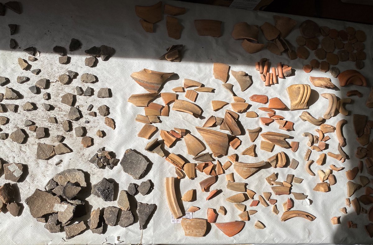 violeta salmerón ✧ tweet media