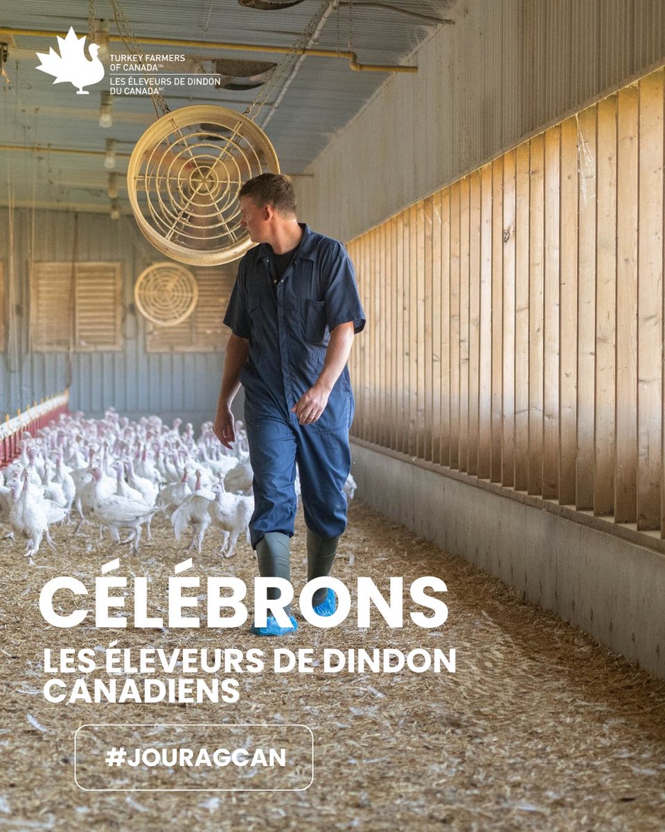 Turkey Farmers of Canada tweet media