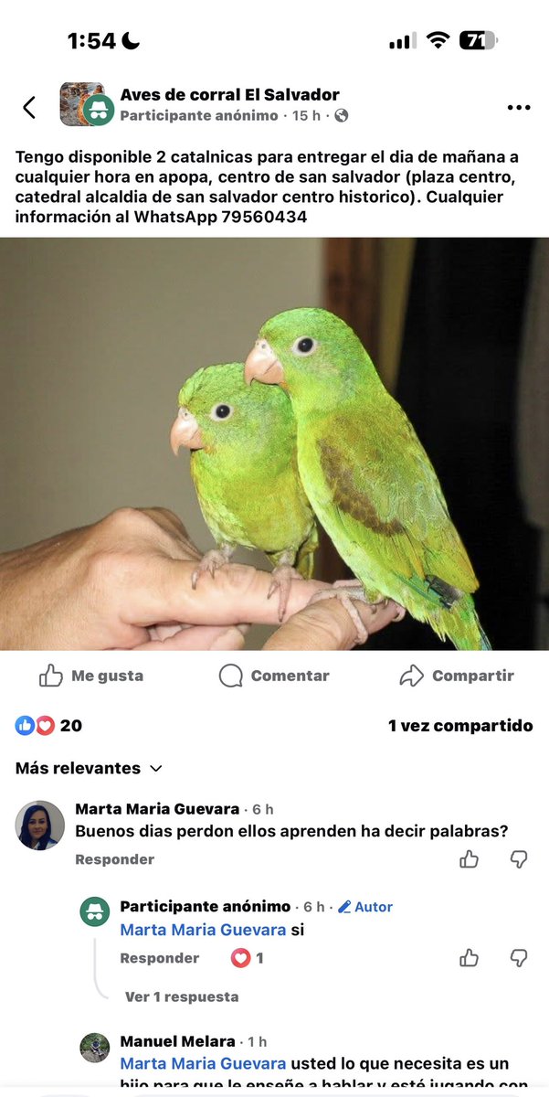 ‼️‼️VENTA ILÈGAL DE PERICOS‼️‼️
DENUNCIA PÚBLICA

‼️‼️VENTA ILÈGAL DE PERICOS‼️‼️
DENUNCIA PÚBLICA

Páginas de aves en donde publican especies protegidas 

Vividores!!

<a href="/PNCSV/">PNC El Salvador</a> 
<a href="/FGR_SV/">Fiscalía General de la República El Salvador</a> 
<a href="/MedioAmbienteSV/">Ministerio de Medio Ambiente</a>