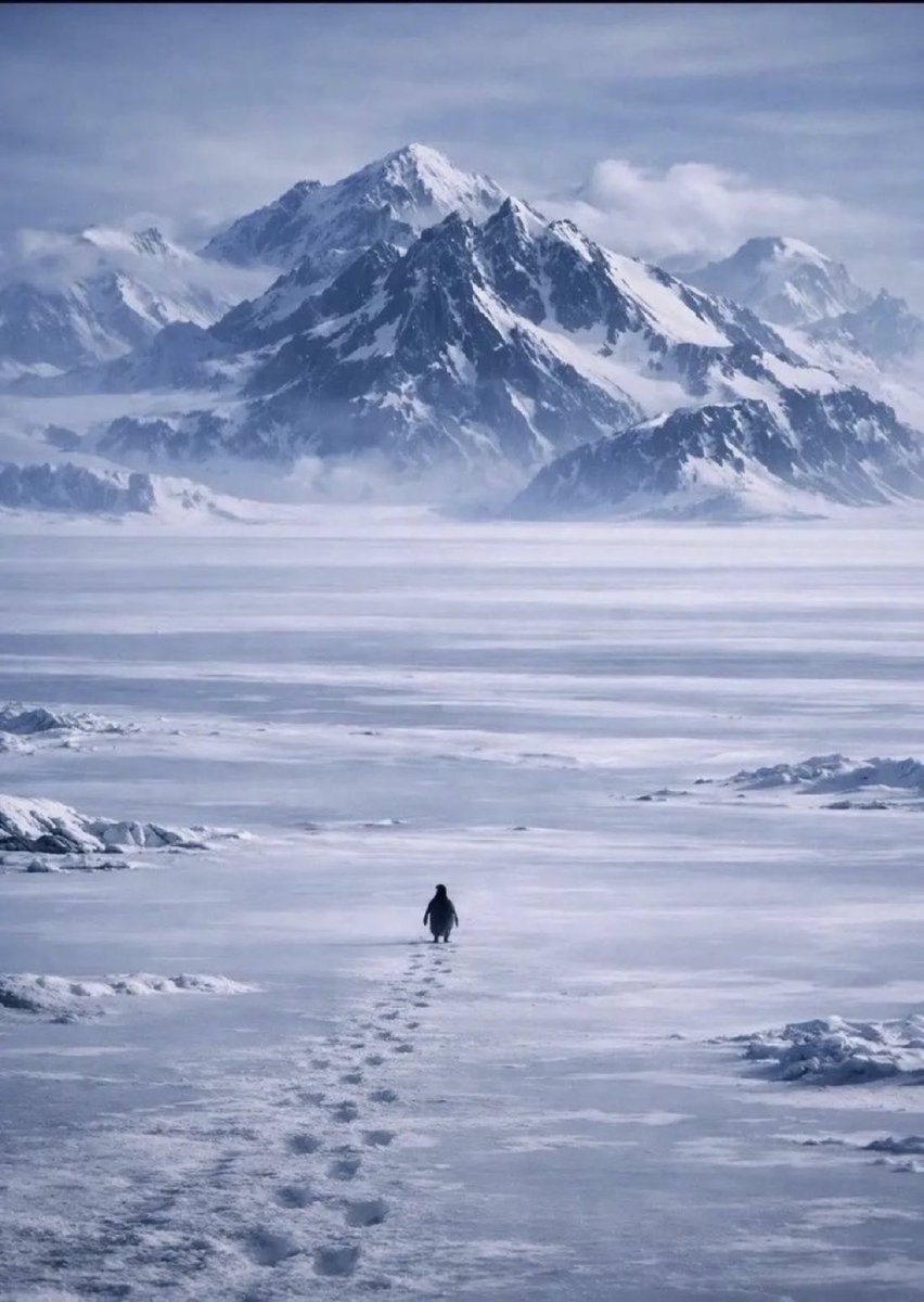 UpTheVariance's tweet image. this claude stuff is pretty cool