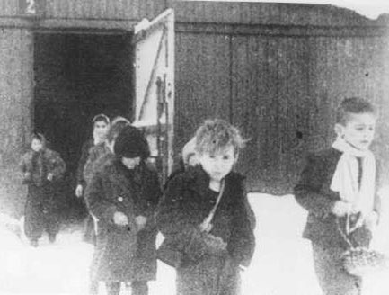 230,000 children were sent to Auschwitz during the Holocaust. 

81 years ago on January 27, 1945 the camp was liberated. 

Only 650 children got out alive.

This is a photo of some of the survivors after the camp was liberated. 

Never forget. 💔