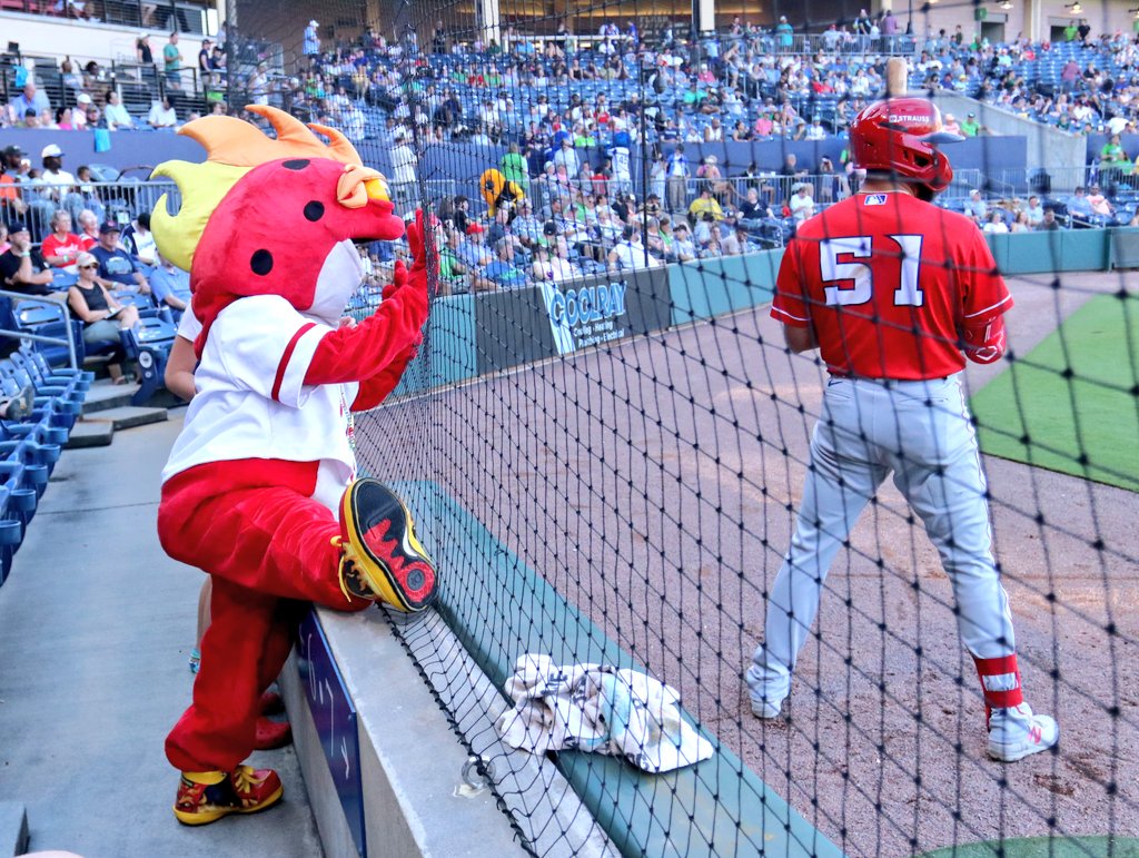 Striker the Fire Frog tweet media