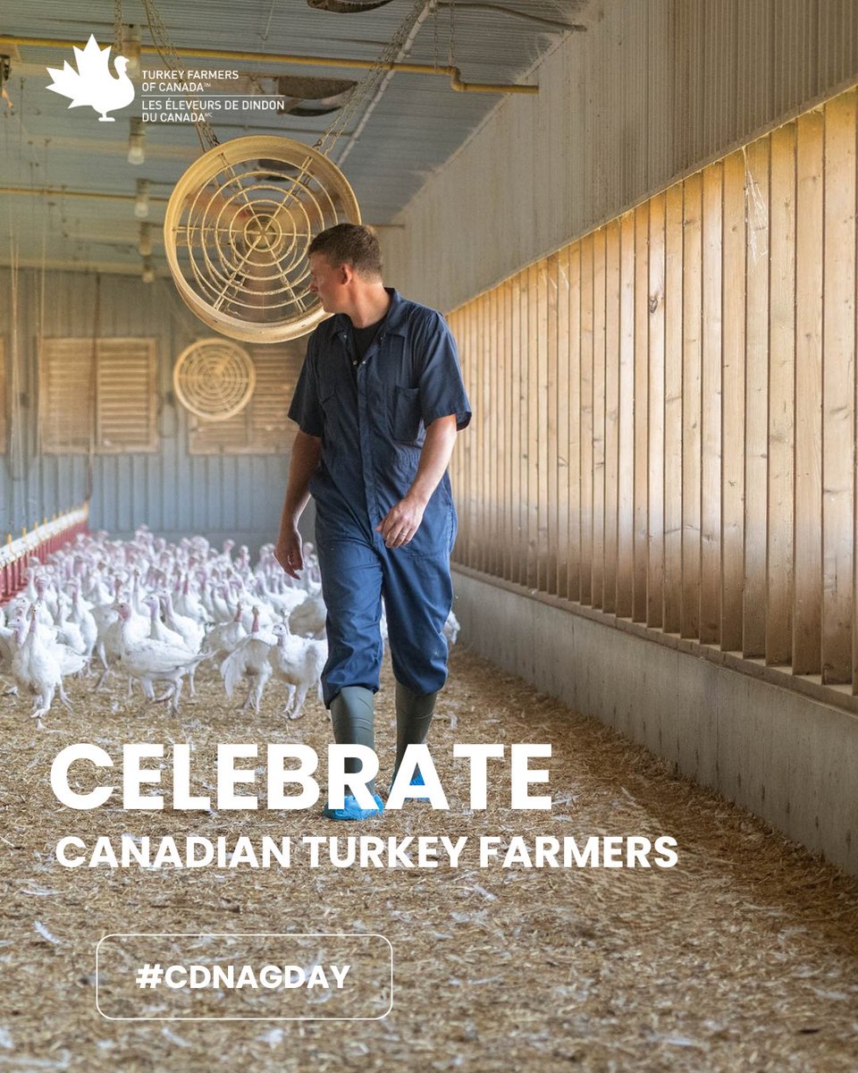Turkey Farmers of Canada tweet media