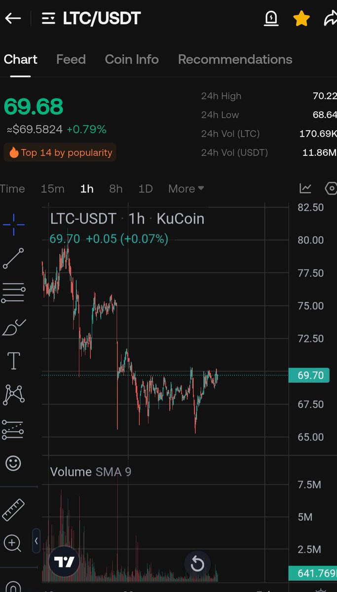 WIZZ🥷 ( beware scammers ) tweet media