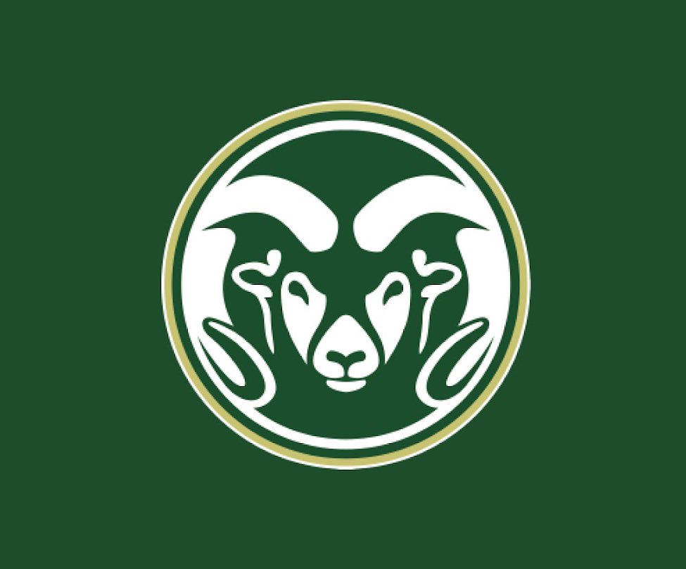 Sonasi Maka II tweet media