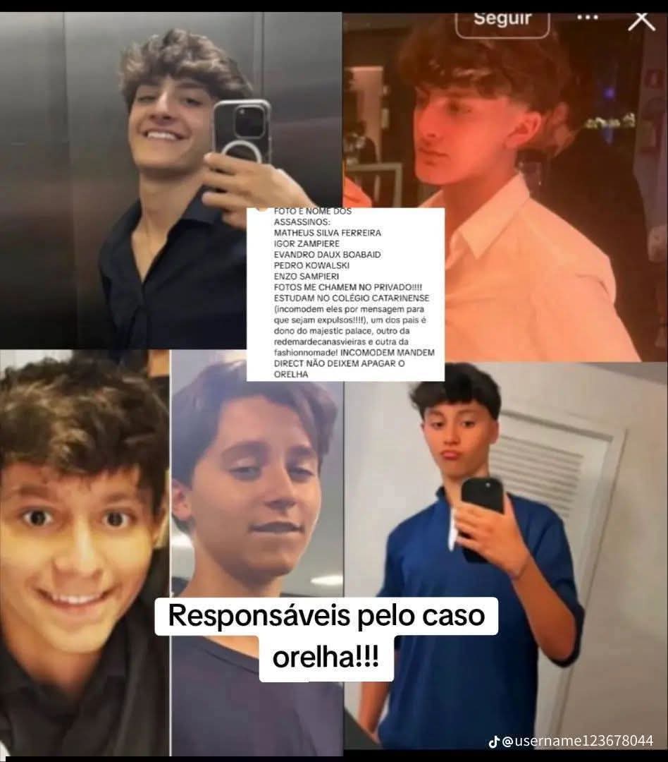 PiklesT's tweet image. Então @jorginhomello você vai fazer o que a respeito disso? Vai peidar, pra esses cretinos? As eleições estão chegando, e não pegaria bem um candidato que apoia quem maltrata animais indefesos.