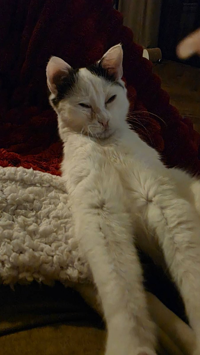 Коксік, коли побачив, що збір на вантажівку цілий день не рухався.

send.monobank.ua/jar/bB9VYwZiY