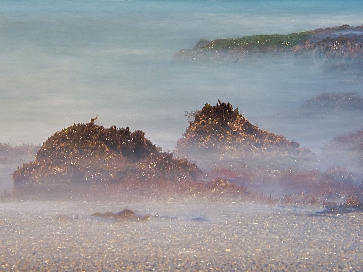 おはようございます。                    

#EーM5III 
#ファインダー越しの私の世界 
#iwakicameraclub