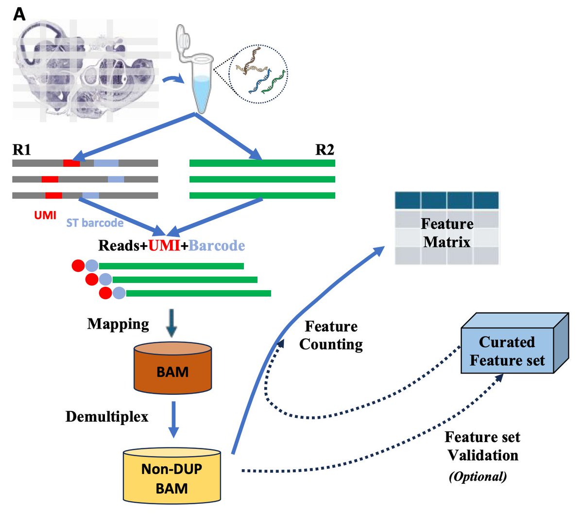 Gerstein Lab | Yale tweet media