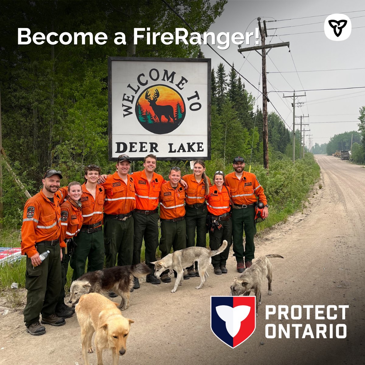 Ontario Forest Fires tweet media