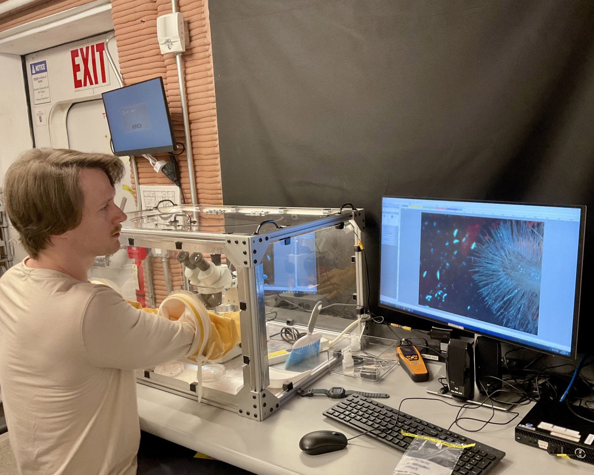 NASAJohnson's tweet photo. CHAPEA hits the 100-day mark! 🎉

The crew of NASA’s year-long Mars simulation has been working hard to help us learn how long-duration space missions affect crew health &amp; performance. Check out some photos of daily life, science tasks, and more from the past 3 months! ⬇️ https://t.co/ZKW4jAYU47