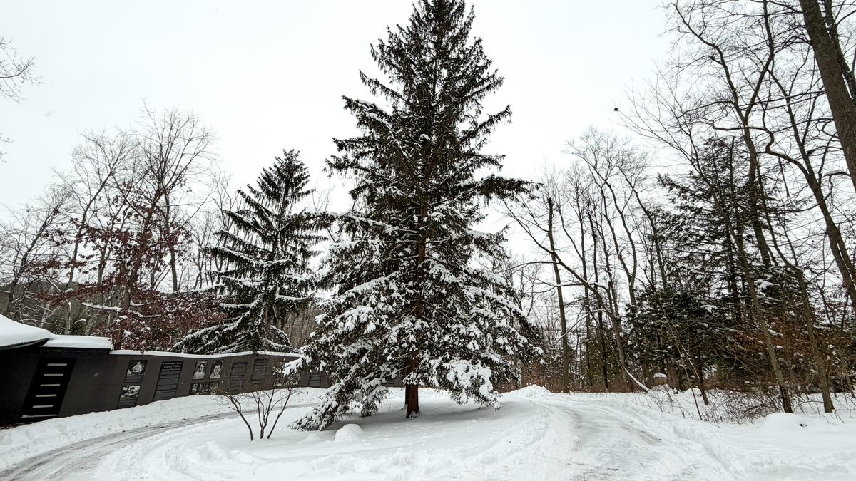 The winter storm has painted a truly majestic landscape at The Inn at Honey Run! If you've never experienced The Inn for a snow-covered stay, now is the perfect time!
Roads are plowed and the route to our property is clear. 
Book your winter retreat today!
us01.iqwebbook.com/IAHROH772