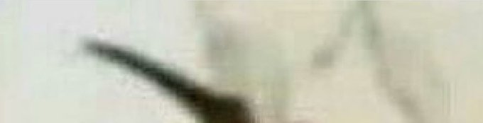 itsD3lay🐧 tweet media