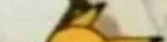 itsD3lay🐧 tweet media