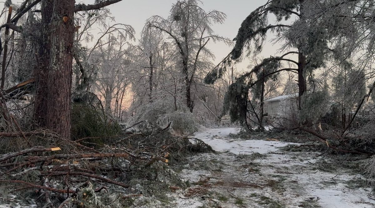 ReedTimmerUSA's tweet image. The worst #icestorm to ever hit the southern U.S. - devastation and disaster response in Oxford, Mississippi: youtu.be/-LzYFUNdLpE?si…