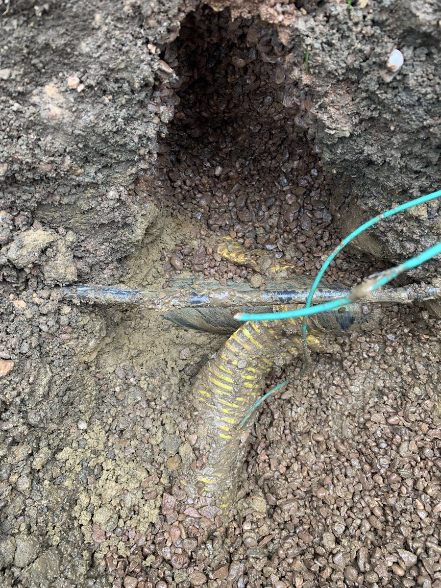 Steven Dipple tweet media