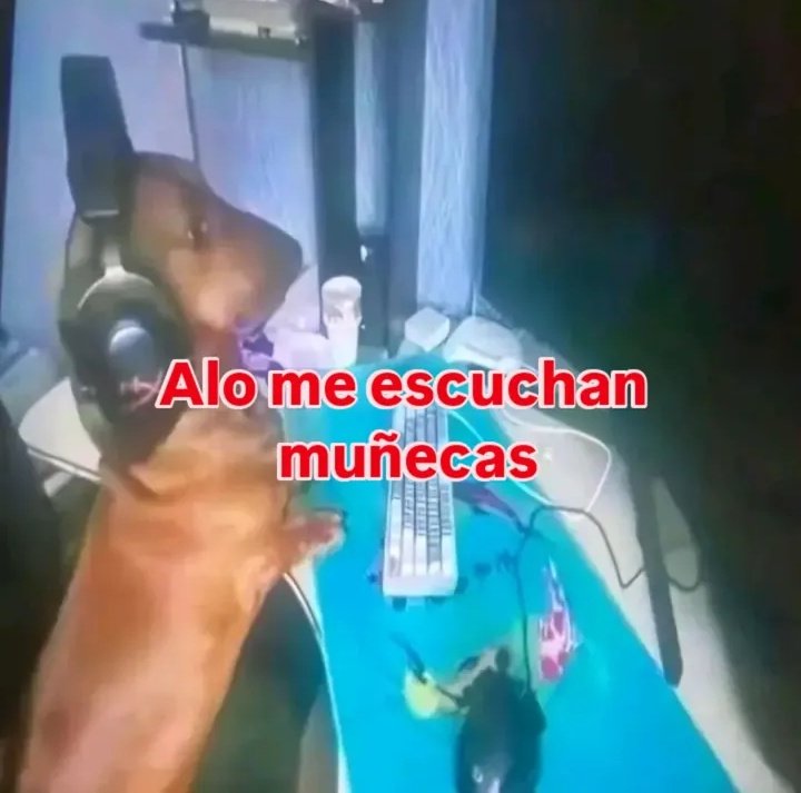 Maestre Mapaxito (@mapaxitouwu) on Twitter photo 