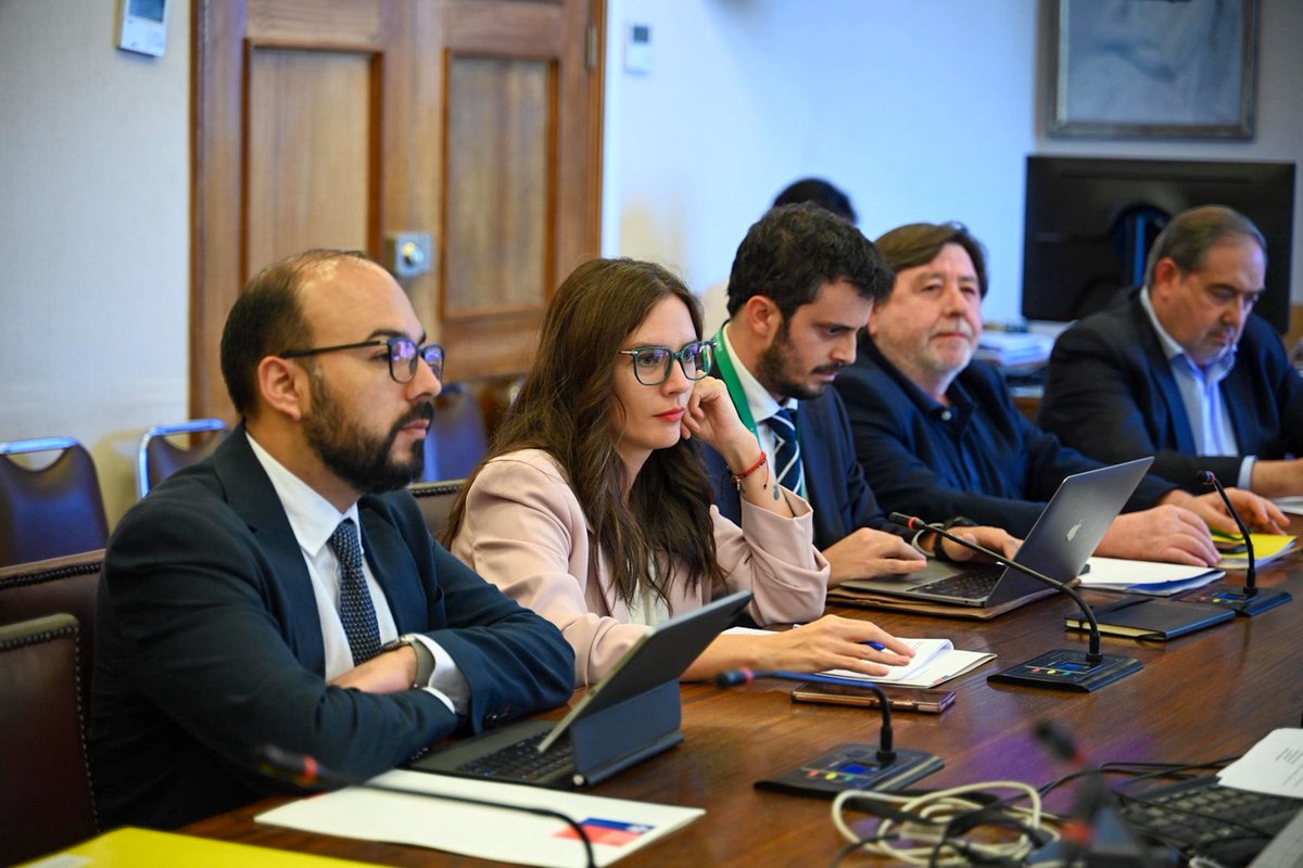 Camila Vallejo Dowling tweet media