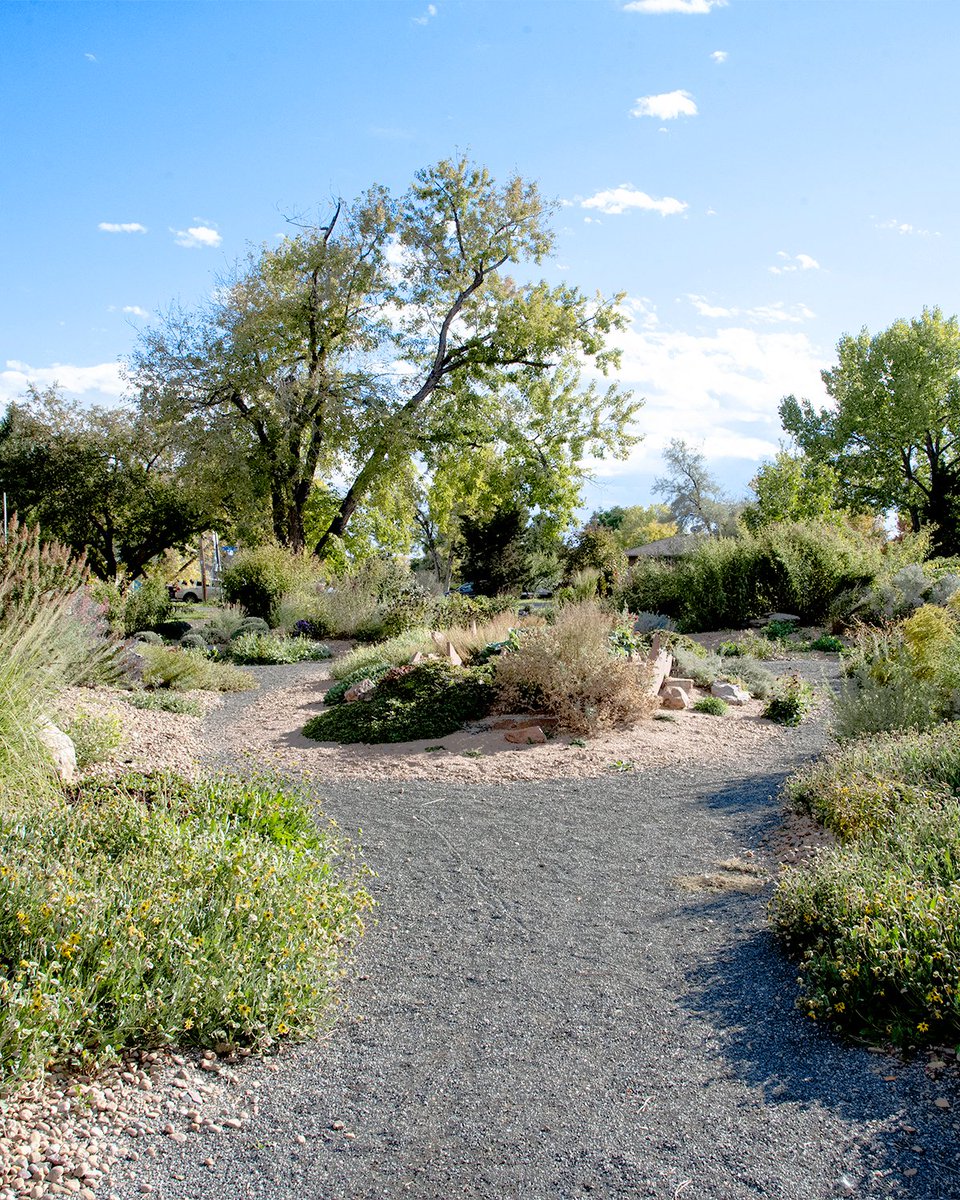 Monday Mile’s next suggested location is O’Kane Park, a historic site that was once home to the O’Kane Dairy Farm. Begin your walk by exploring the park’s open space and enjoy views of the historic O’Kane house, artwork, and pond. 

LakewoodCO.Gov/MondayMile