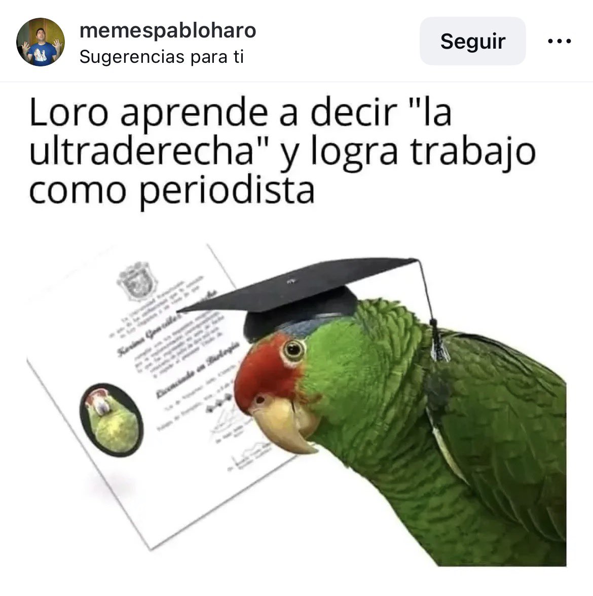 Mario Noya (@marionoyam) on Twitter photo 