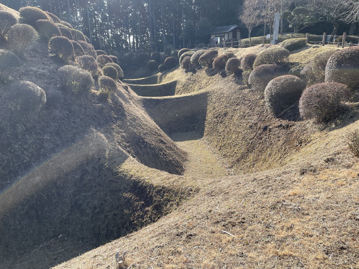 kawazo28's tweet photo. 🏯 「ワッフル」のような絶景堀！北条流築城術の極み、山中城跡を訪れました
静岡県三島市にある山中城は、戦国時代末期に関東を支配した**後北条氏（ごほうじょうし）**が、豊臣秀吉の来襲に備えて築いた鉄壁の要塞です。箱根の険しい地形を活かした、まさに「小田原城の最終防衛ライン」でした。
このお城の最大の見どころは、何といっても**「障子堀（しょうじぼり）」と「畝堀（うねぼり）」！
堀の中に格子状の仕切りを設けることで、底に降りた敵が身動きを取りにくくする北条氏独自の技術です。今では芝生に覆われ、まるで「ワッフル」**のような見た目ですが、当時は滑りやすい粘土質で、一度落ちたら二度と登れない恐怖の罠でした。
天正18年、秀吉軍の圧倒的な大軍を前に、わずか半日で落城したという悲劇の歴史を持ちますが、今も残るその美しい遺構からは、北条一族の意地と職人技がひしひしと伝わってきます。
富士山を望む絶景と、唯一無二の幾何学的な城郭美。石垣を使わない「土の城」の最高傑作に、心から感動した一日でした！
#山中城 #後北条氏 #障子堀 #歴史 #静岡観光 #お城巡り #日本100名城