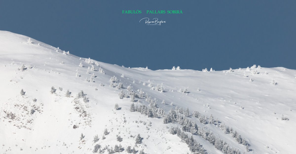 Ramon Baylina -Alt Pirineu del Pallars Sobirà tweet media