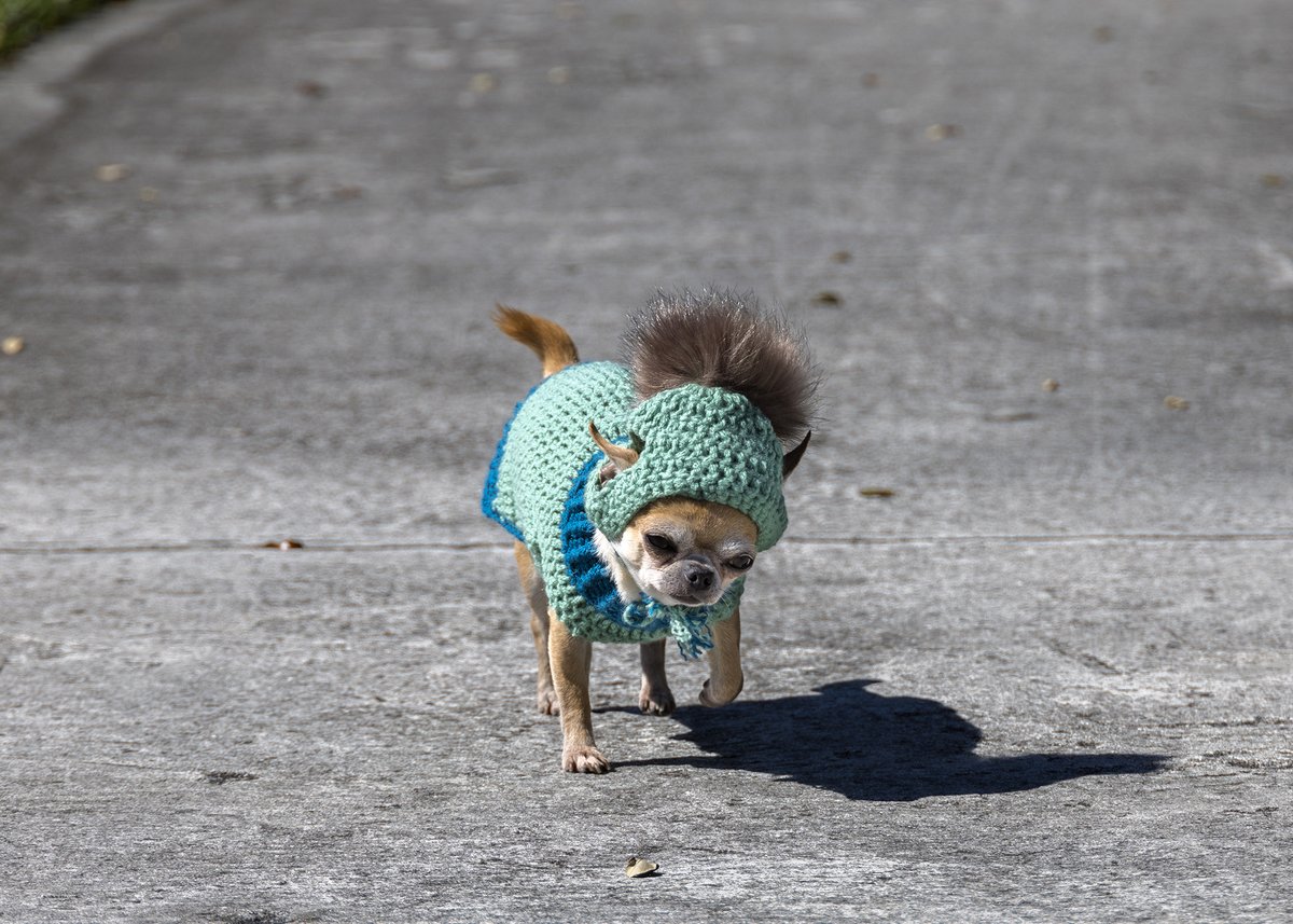 Brrrr... when even our team mascot is bundled up, you know its really cold! 🐾🧣❄️
Due to inclement weather, the tennis center will be closed January 27-29, 2026.
Stay warm, stay safe, and we'll see you back on the courts soon! 🎾💙