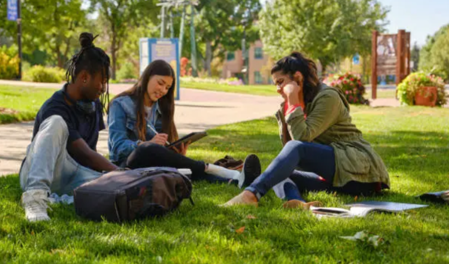 Did you know that the United States now offers more than 1.85 million credentials from more than 134,000 providers? Learn more about the U.S. credential landscape and new trends in the 2025 report. credentialengine.org/wp-content/upl… #DYK