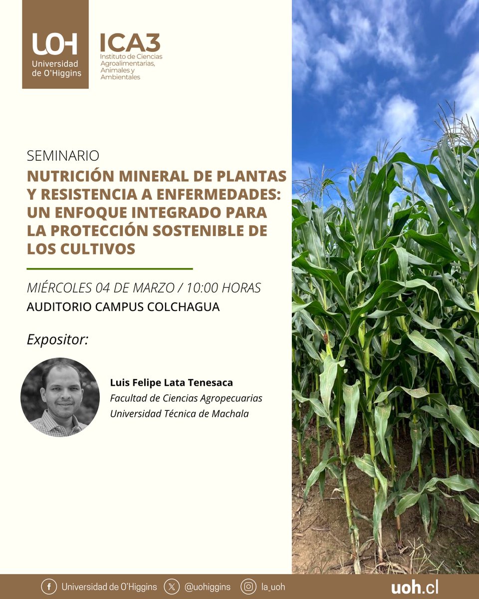 Universidad de O'Higgins tweet media