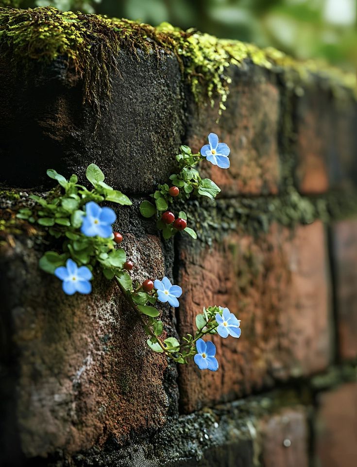 greenvibe's tweet image. 