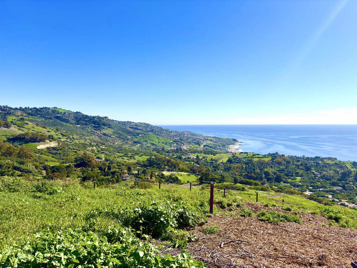 msflame22's tweet image. Tuesday, 01/27/26. The Match-Stick Flame 3: Red Mafia” (2026) is now sent out for processing and now it’s back to training and creating❤️‍🔥🇺🇸✝️