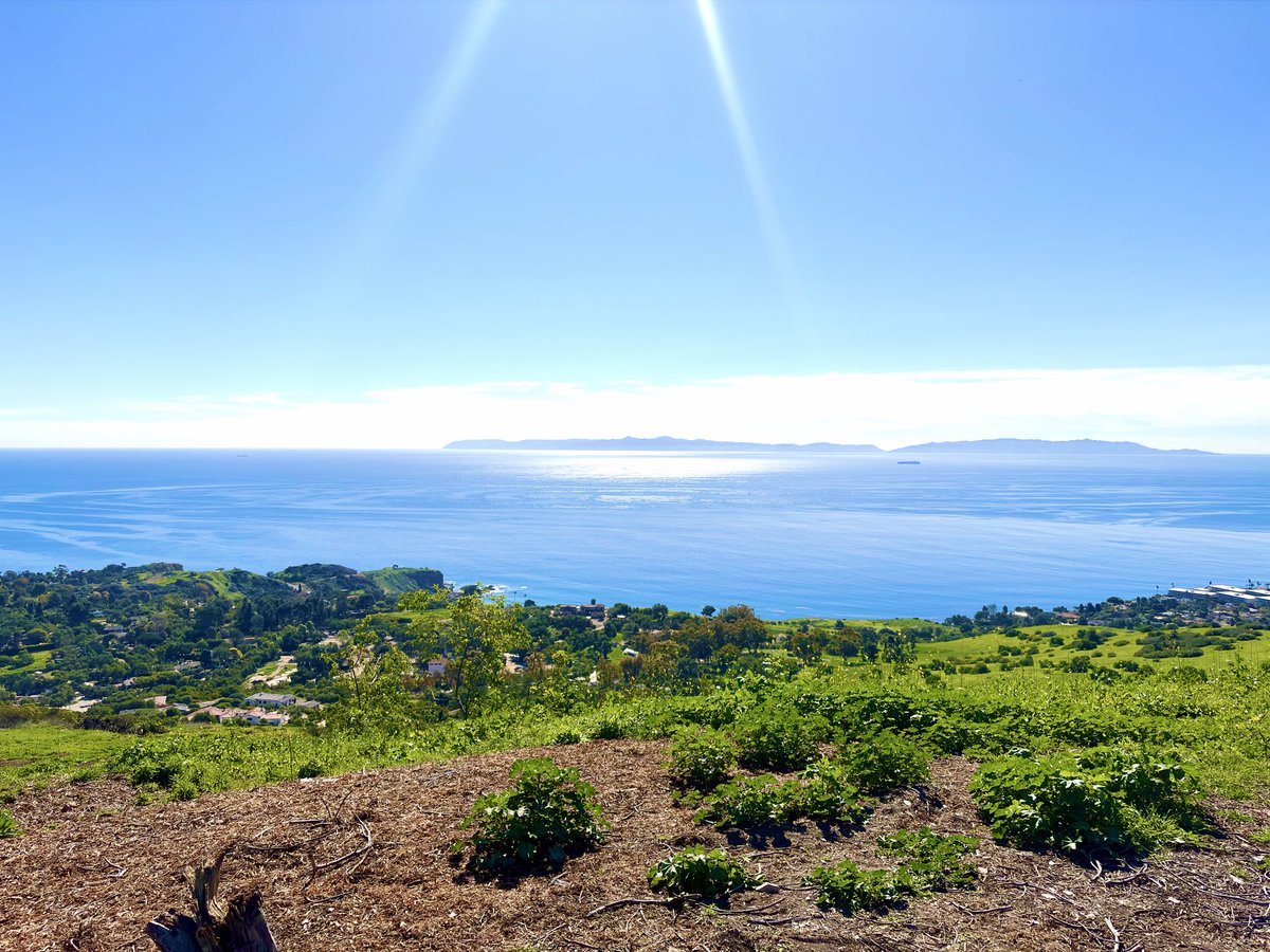 msflame22's tweet image. Tuesday, 01/27/26. The Match-Stick Flame 3: Red Mafia” (2026) is now sent out for processing and now it’s back to training and creating❤️‍🔥🇺🇸✝️