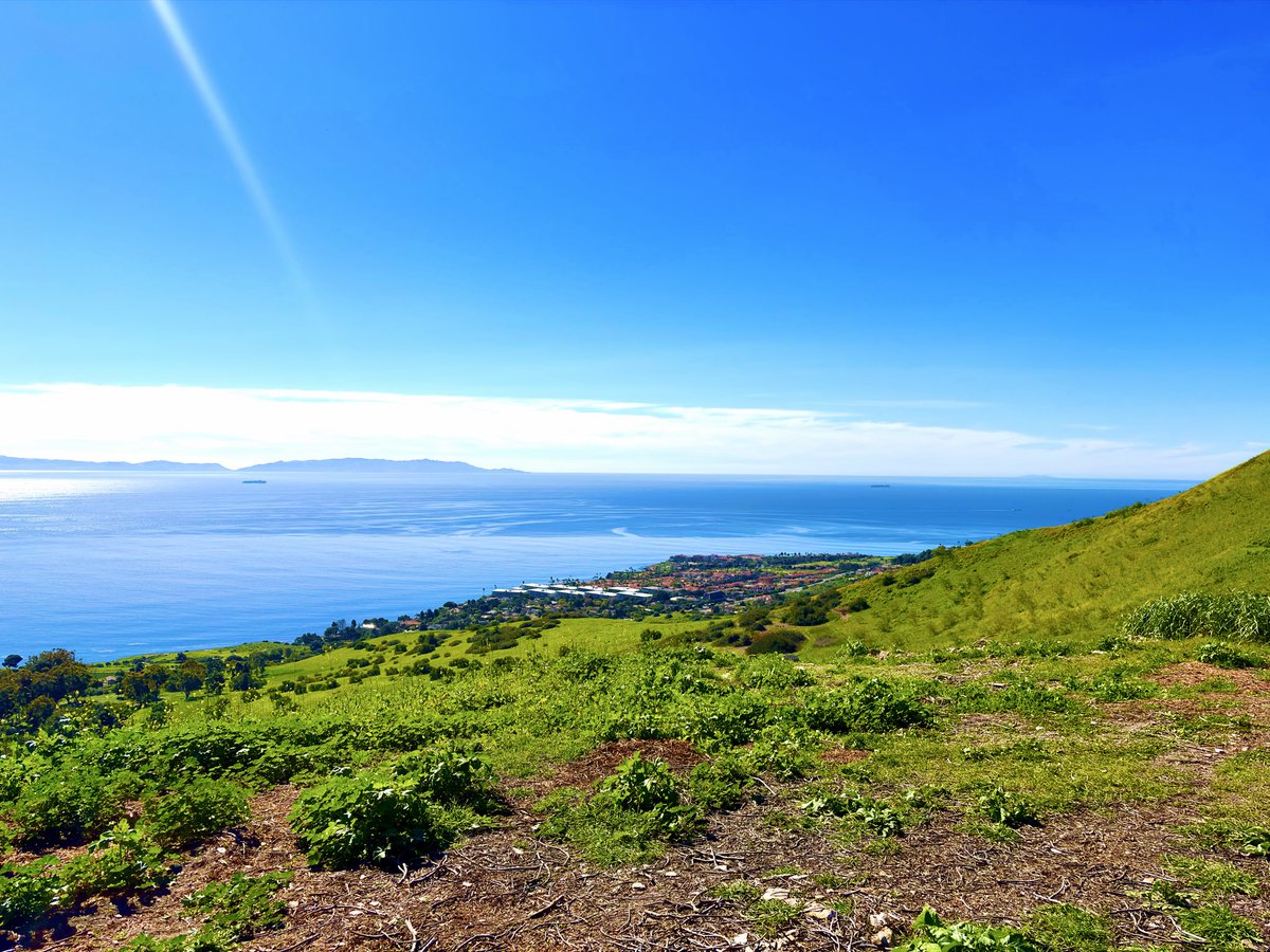 msflame22's tweet image. Tuesday, 01/27/26. The Match-Stick Flame 3: Red Mafia” (2026) is now sent out for processing and now it’s back to training and creating❤️‍🔥🇺🇸✝️